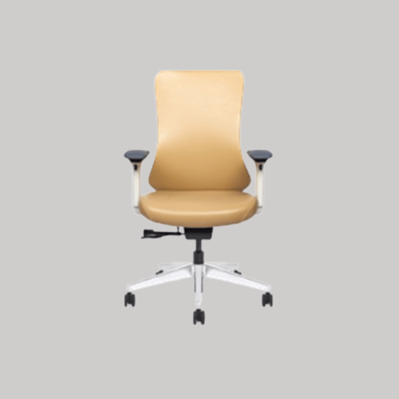 Executive Ergonomic Mesh Office Chair