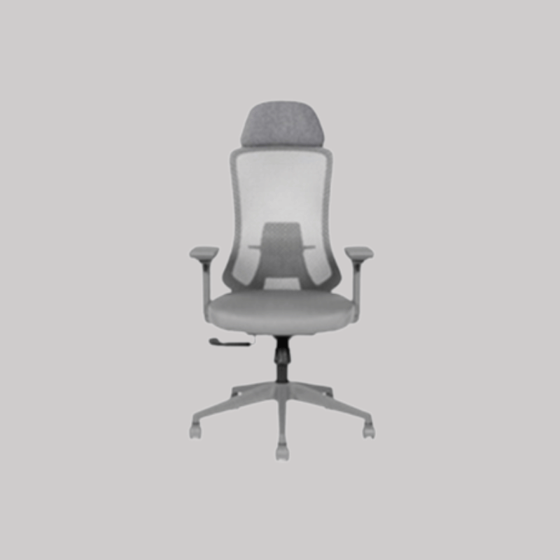 Advanced Mesh Ergonomic Office Chair