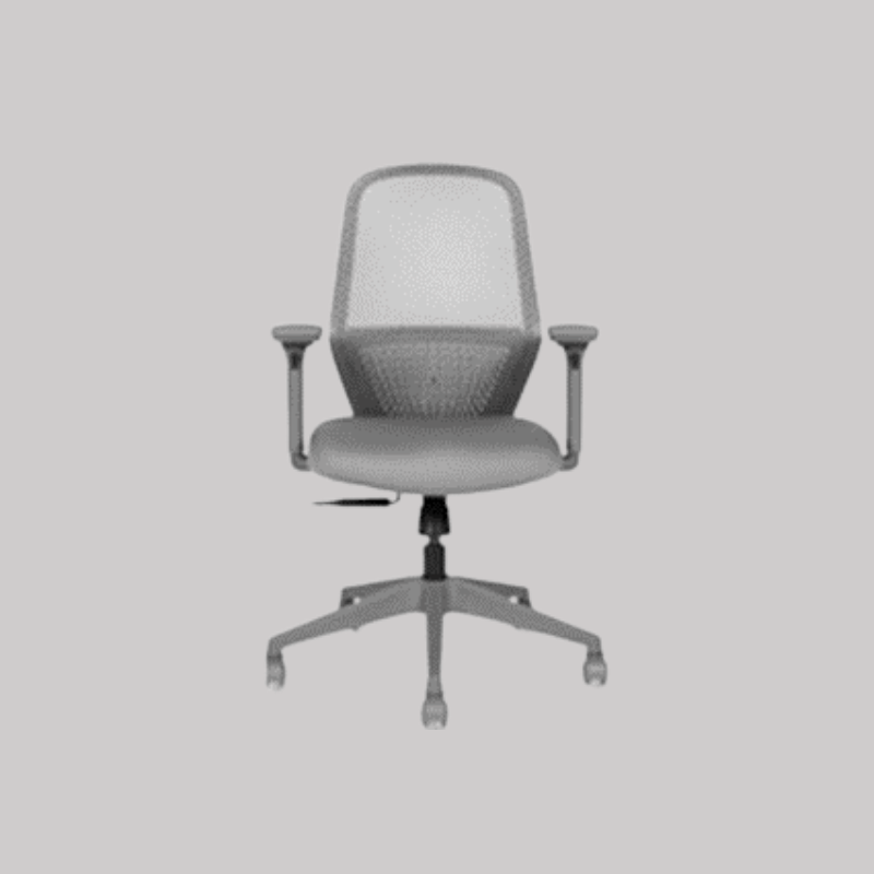 Mesh Back Ergonomic Office Chair