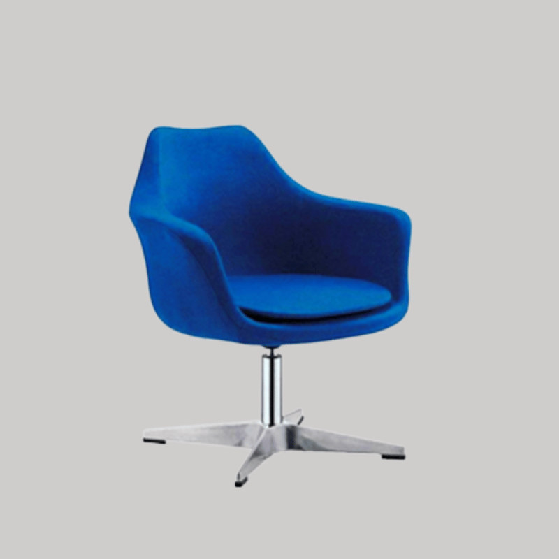 Modern Comfort Lounge Chairs