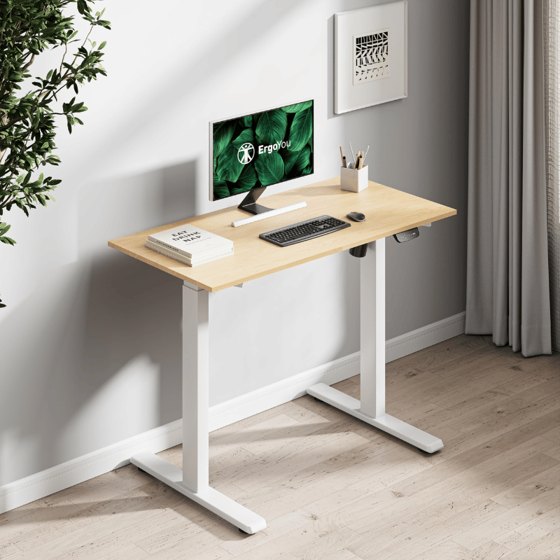 Electric Height Adjustable Desks